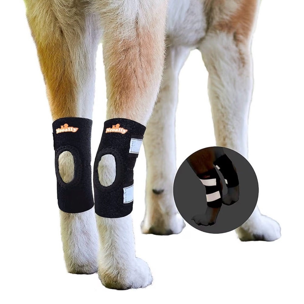 Dog Hock & Ankle Support Brace — Adjustable Rear Leg Stabilizer